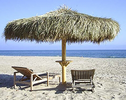 12' Mexican Palm Palapa